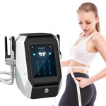 EMS Body Slimming Machine Manufacturer - 2 Handles Electrical Muscle Stimulation Fat Burning Salon Beauty Equipment