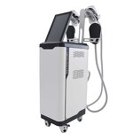 2 in 1 Slimming Machine Manufacturer - 4 Handles EMS Cryo Muscle Building Fat Freezing Body Sculpting Salon Device