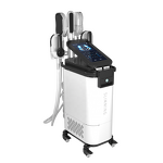 EMS Body Slimming Machine Manufacturer - Muscle Build Stimulator Weight Loss US/It/ZA Plug Type Salon Equipment