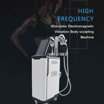 2 in 1 Slimming Machine Manufacturer - 4 Handles EMS Cryo Muscle Building Fat Freezing Body Sculpting Salon Device