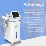 Cryolipolysis Slimming Machine Manufacturer - 2025 360 Fat Removal Weight Loss ABS Commercial Body Slimming Equipment