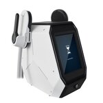 EMS Body Slimming Machine Manufacturer - 2 Handles Electrical Muscle Stimulation Fat Burning Salon Beauty Equipment