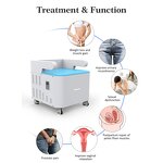 Pelvic Floor Muscle Stimulator - EMS Chair ABS Non-Invasive Incontinence Muscle Training Salon Equipment