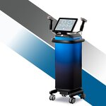 2in1 Fractional RF Machine - 8 INMODE Technology Face Body Skin Rejuvenation Commercial Home Use