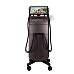 3-in-1 Diode Laser Machine Manufacturer - New Arrival 808/755/1064nm Wavelength Salon Hair Removal Beauty Equipment