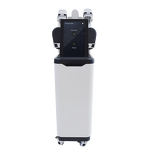 2 in 1 Slimming Machine Manufacturer - 4 Handles EMS Cryo Muscle Building Fat Freezing Body Sculpting Salon Device