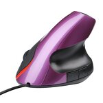 3D Wireless Mouse Manufacturer - Second-Gen Optical USB Ergonomic Right-Hand RGB Backlit Wrist Guard Mouse