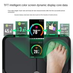 Smart Body Fat Scale Manufacturer - 5-Inch VA Color Screen 200kg Battery Powered Household Bathroom Scale
