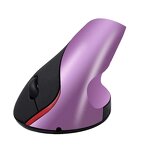3D Wireless Mouse Manufacturer - Second-Gen Optical USB Ergonomic Right-Hand RGB Backlit Wrist Guard Mouse