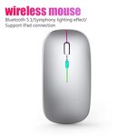 3D Wireless Mouse Manufacturer - 2.4G USB LED 3-Color Silent Dual Mode Ergonomic Laptop Gaming Mouse
