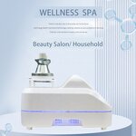 Electrotherapy Beauty Instrument Manufacturer - Wellness Spa Three Channels Body Anti-aging Home Health Care Machine