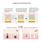 Hydra Dermabrasion Machine Manufacturer - 6 in 1 Small Bubble Vertical Oxygen Facial Rejuvenation 6 Heads Sink Peel