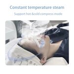 Eye Spa Machine Manufacturer - Eye Nebulization Beauty Instrument