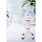 Beauty Salon Trolley Manufacturer - Equipment Furniture Simple Storage Tray with Wheels