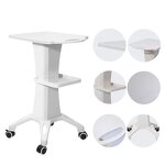 Beauty Salon Trolley Manufacturer - Modern Multi-Function 4-Wheel Design Rolling Cart