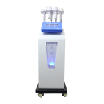 Body Care Equipment Manufacturer - Multi-functional Beauty Health Care Device