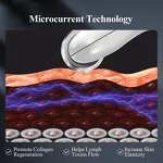 Facial Massager Manufacturer - Portable Handheld Roller Full Body Anti Cellulite