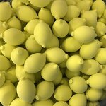 Makeup Foundation Sponge Manufacturer - Private Label Latex Free Soft with Tin Box