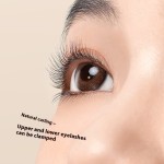 Eyelash Curler Set Manufacturer - 2pcs Plastic 1 Wide Angle and 1 Partial Beauty Curler Kit Customized