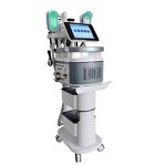 360° EMS RF Cryolipolysis Machine Manufacturer - 4 Handles Best Selling Salon Face Body Slimming Tool