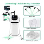 10D Laser Slimming Therapy Manufacturer - 4/2 Handles 635nm 532nm Red Green Light Weight Loss Tool