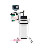 10D Laser Machine Manufacturer - 3000W Fat Burning Body Shaping Green Light EMS Muscle Tightening Tool