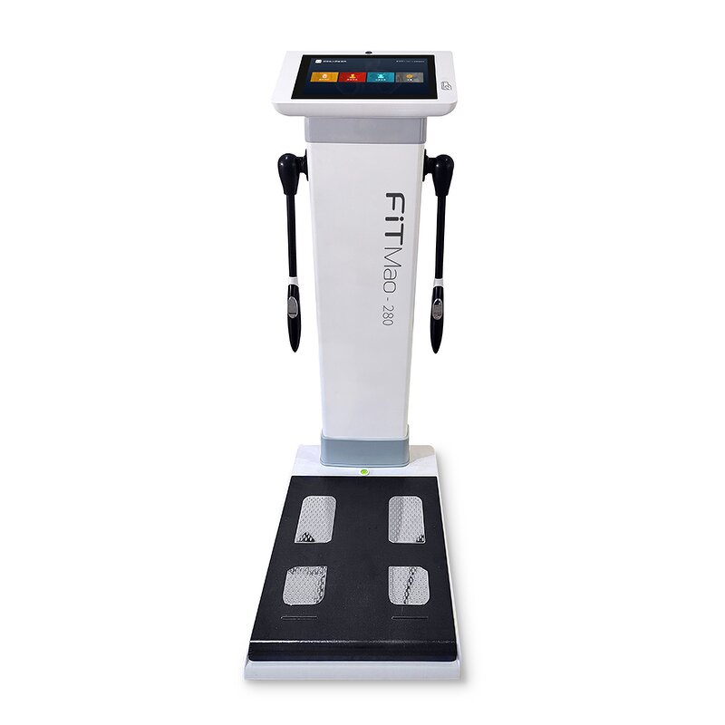 Body Composition Analyzer Manufacturer - Latest Gym Use Healthy Fat Measuring Weight Loss Analysis Tool