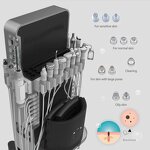 17 in 1 Micro Peel Facial Machine Manufacturer - Multifunctional Oxygen Jet Salon Spa Beauty Equipment