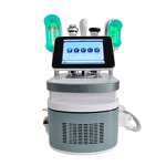 360° EMS RF Cryolipolysis Machine Manufacturer - 4 Handles Best Selling Salon Face Body Slimming Tool