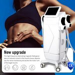 EMS Body Sculpting Machine Manufacturer - 4 Handles Pelvic Floor Hip Lifting Portable Salon 50% RF/EMS Tool