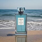 Perfume Manufacturer - High Quality Oud Dubai for Men Long Lasting