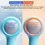 Facial Cleaning Brush Manufacturer - Sonic Vibration Silicone Hot Cold 4 in 1