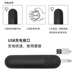 Mini Bullet Vibrator Manufacturer - Super Power 10 Speeds USB Charging Wholesale Adult Toy for Women