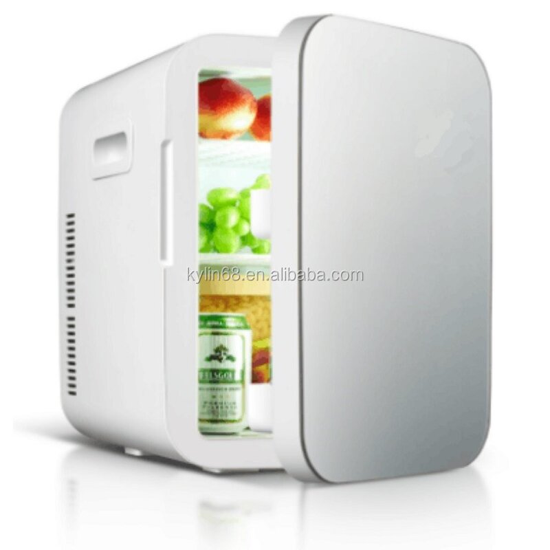 20L Electric Car Mini Fridge Manufacturer - 110V 12V Double Cooling Portable Refrigerator