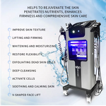 10 in 1 Hydro Oxygen Facial Machine Manufacturer - 2024 Jet Peeling H2o2 Hydra Dermabrasion RF Spa Beauty Tool