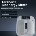 Terahertz Thz Tera P90 Machine Manufacturer - 2026 BioTherapy Healing Foot Spa Whole-body Health Enhancement Tool