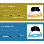 7 Colors PDT Led Machine Manufacturer - OEM/ODM Infrared 850nm Red 630nm Touch Screen Portable Home Use Tool