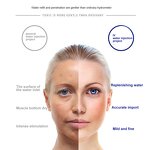 4th Dermashine Vital Injector Manufacturer - 9pin Needle Rf Microneedling Mesotherapy Gun Wrinkle Removal Tool