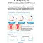 Pelvic Floor Trainer Chair Manufacturer - 2025 LED Desktop Kegel Prostate Urinary Postpartum Recovery Device