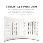 PDT Led Lighting Therapy Machine Manufacturer - New Acne Skin Body Treatment Red Light Facial Beauty PDT Tool