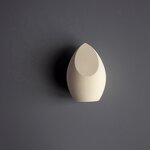 Powder Puff Manufacturer - Custom Package High End Private Label Biodegradable