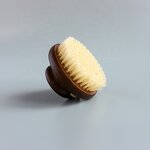 Back Brush Manufacturer - Lotus Wood Dry Body Exfoliating Scrub with Short Handle