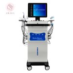 Hydro Dermabrasion Machine Manufacturer - SWIDA Standing 14-in-1 Oxygen Jet Aqua Peel US AU