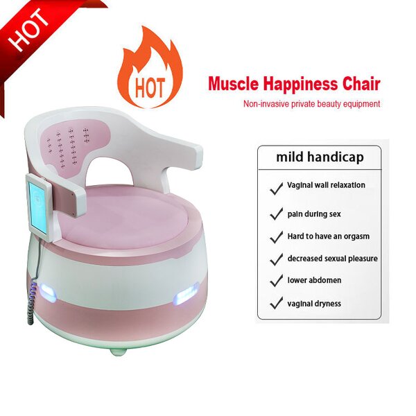 Pelvic Floor Exerciser Chair Manufacturer - High-Intensity Magnetic Treatment Desk-Top Universal