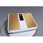 Terahertz Instrument Manufacturer - Reliable Household EMR+magnetic Energy for Pain Relief