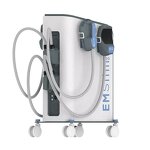RF Muscle Sculpting Machine Manufacturer - Neo Slim 4-Handle Ems with Skin Tightening