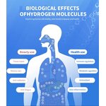 Hydrogen Oxygen Generator Manufacturer - Electric One Two Outputs 1500ml 99.996% H2