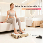 Rehabilitation Therapy Devices