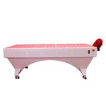 Ideatherapy RLPRO2000L Therapy Bed Manufacturer - Full Body 9-Wave Infrared Pain Relief US 3-Year Tool