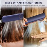 Hair Straightener Manufacturer - Portable 2025 Latest Models 2-in-1 Dryer and Straightener